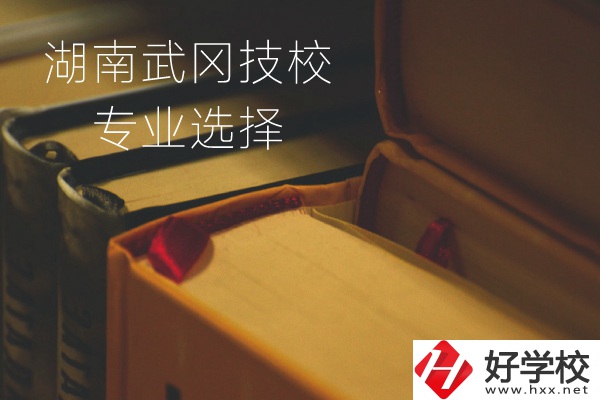 湖南武岡技校怎么樣？有哪些專業(yè)可以選擇？
