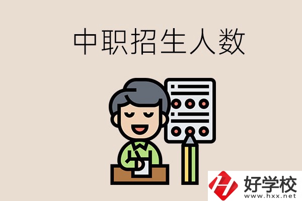 湖南中職學(xué)校每年的招生人數(shù)是多少？