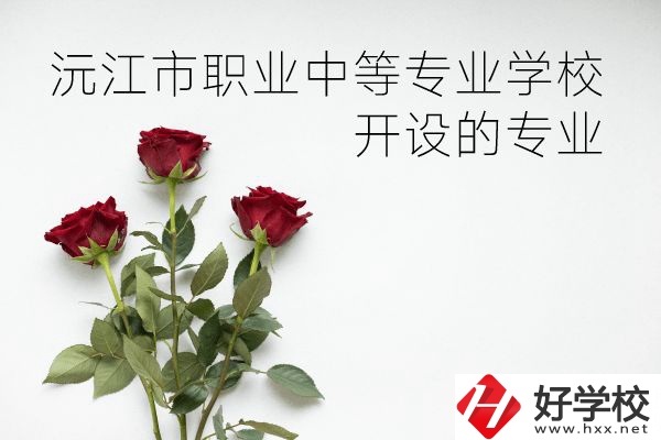 沅江市職業(yè)中等專業(yè)學(xué)校怎么樣？開設(shè)哪些專業(yè)？