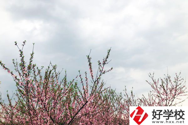 想在邵陽(yáng)讀中專(zhuān)，有哪些學(xué)校推薦？