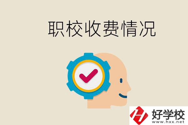 湖南的職校是怎么收費的？民辦學(xué)校一年學(xué)費要多少？