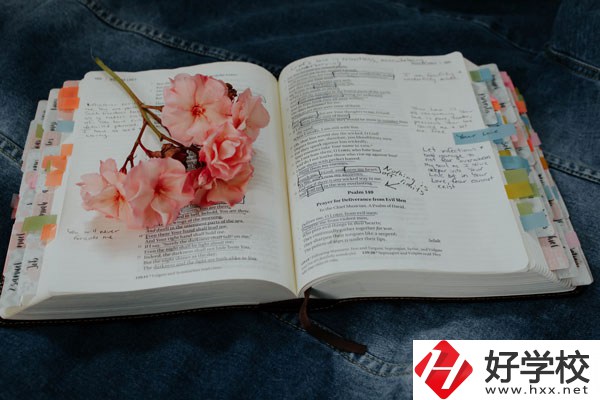 細數(shù)懷化三大職校，這三所學校女生最多！