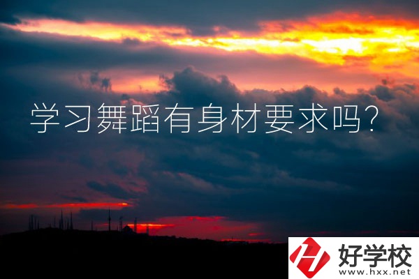 懷化有可以學習舞蹈的中專學校嗎？有身材要求嗎？