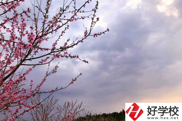 邵陽(yáng)市瀟湘中等職業(yè)技術(shù)學(xué)校怎么樣？收費(fèi)標(biāo)準(zhǔn)如何？