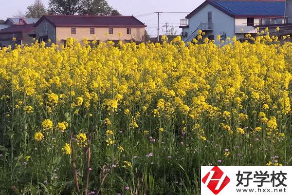 湖南省有哪些比較好的技校？熱門專業(yè)有哪些？