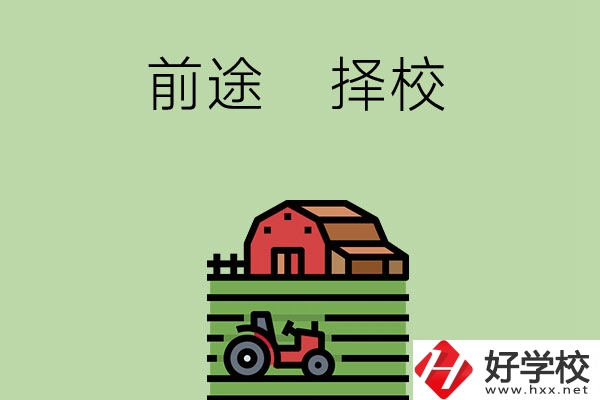在長沙讀中職學校有前途嗎，如何擇校？