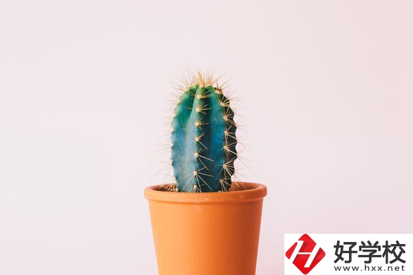 長沙有哪些中職學?？梢詫W習幼師專業(yè)？