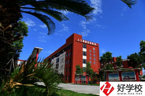 岳陽市有學(xué)工業(yè)機(jī)器人技術(shù)專業(yè)的中職學(xué)校嗎？