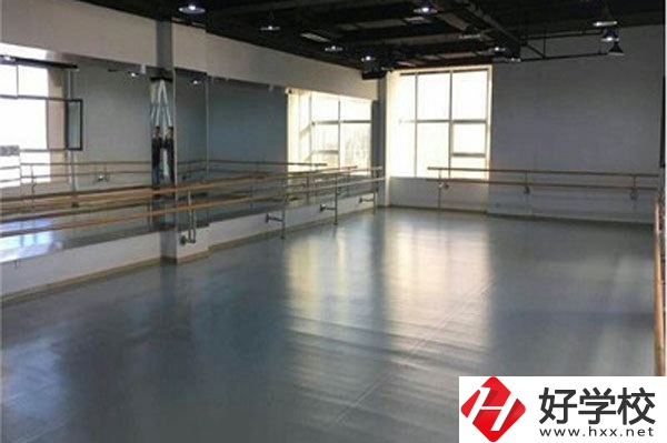 想在衡陽學藝術(shù)類專業(yè)，看看這所學校！