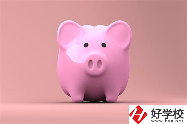 湖南中職亂收費(fèi)怎么辦？哪些是亂收費(fèi)行為？