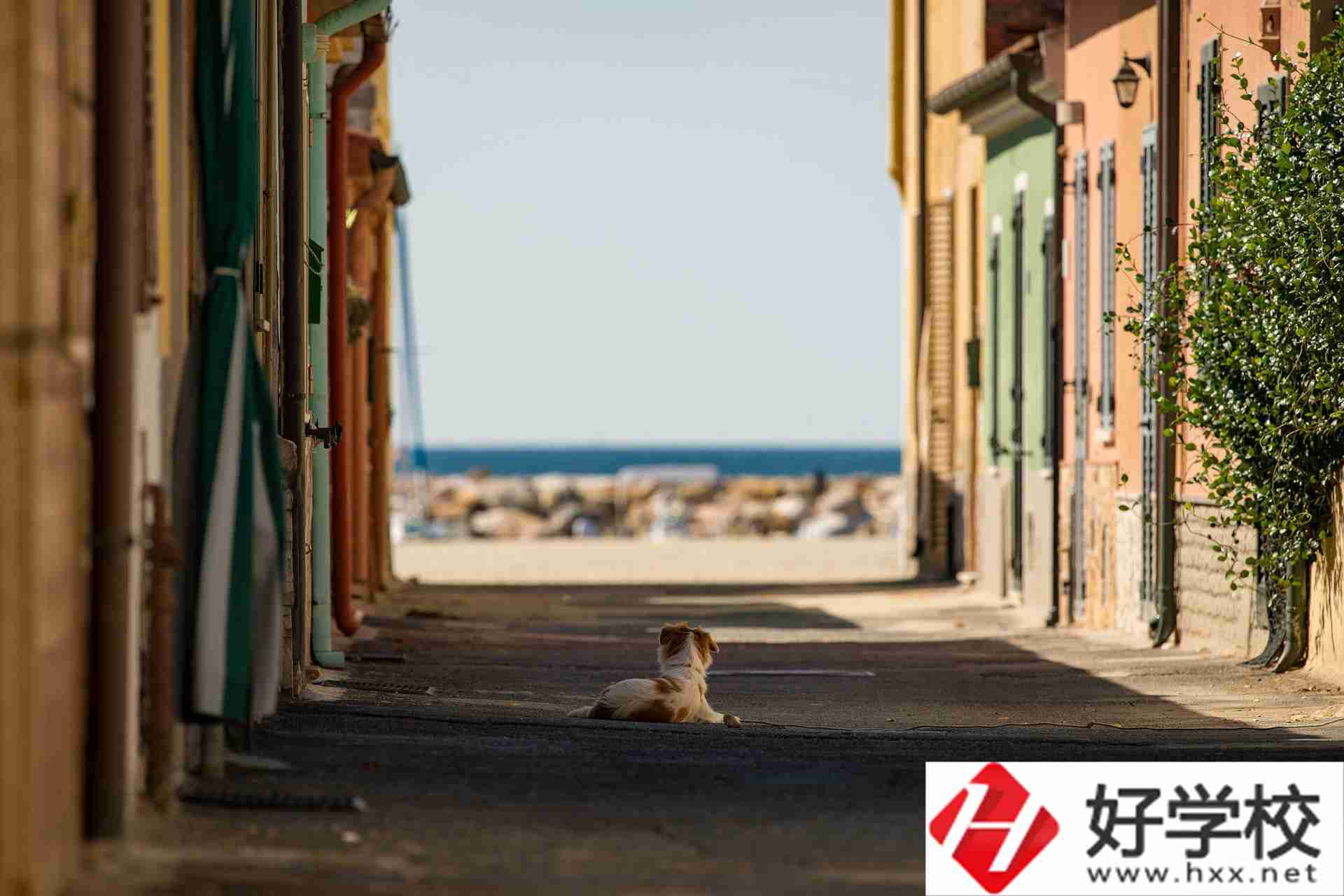 益陽市四通電腦中等專業(yè)學(xué)校什么專業(yè)強？