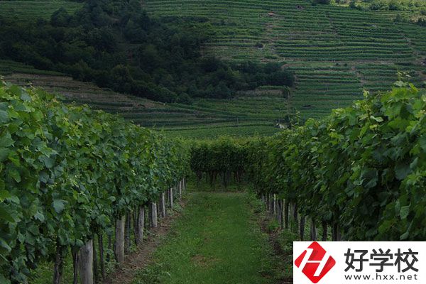 中鋼集團(tuán)衡陽(yáng)重機(jī)技工學(xué)校好不好？值得讀嗎？