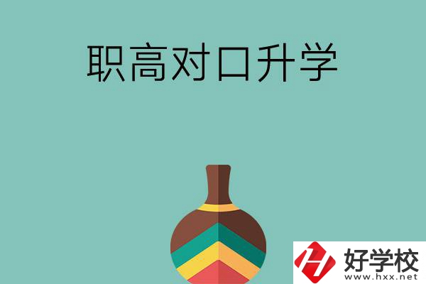 湖南職高對口升學(xué)可以考哪些大專？