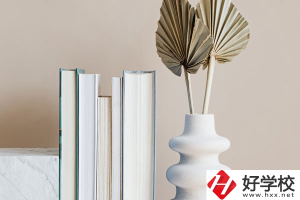 懷化職業(yè)技術學院(中職部)好不好，值得選擇嗎？