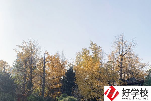 湘潭縣就業(yè)職業(yè)技術(shù)學(xué)校有哪些專業(yè)？就業(yè)前景怎么樣？