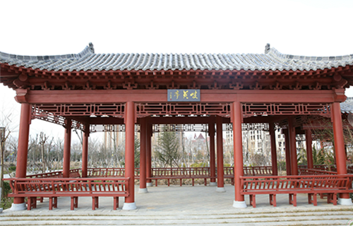 山東中醫(yī)藥高等?？茖W(xué)校