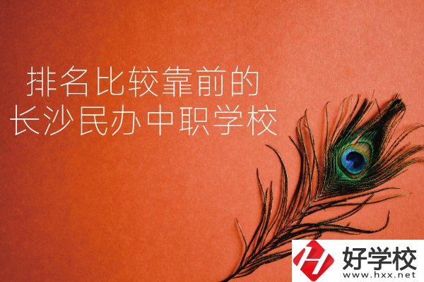 長沙哪些民辦中職學(xué)校排名比較靠前？