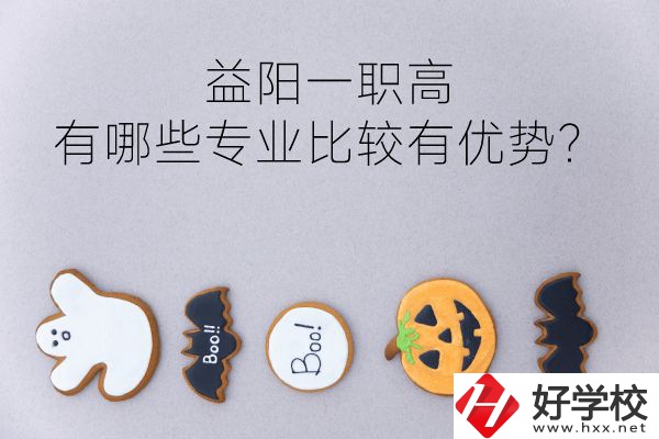 益陽一職高有哪些專業(yè)比較有優(yōu)勢？