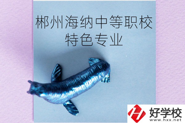 郴州海納中等職業(yè)技術(shù)學(xué)校有些什么特色專業(yè)？