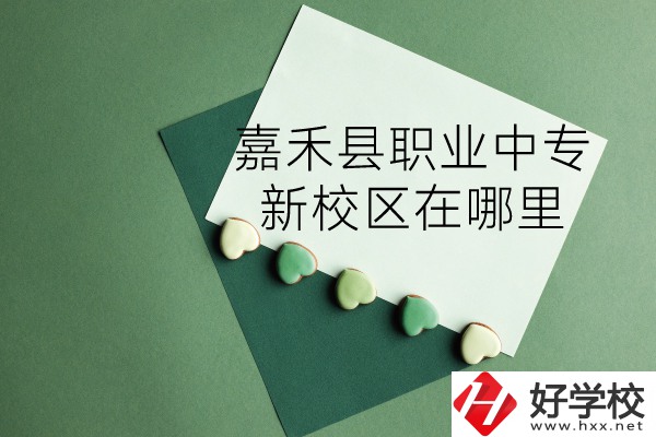 嘉禾縣職業(yè)中專怎么樣？新校區(qū)在哪里？