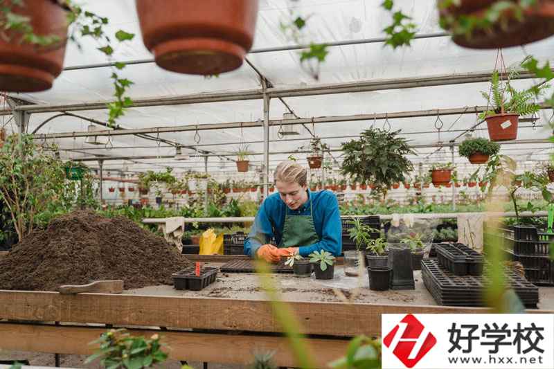 湖南省湘潭縣職校有什么專業(yè)可以選擇？