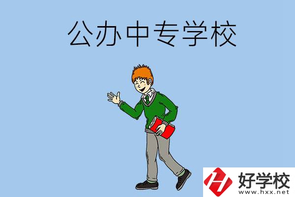 郴州公辦的中專一共有多少所？