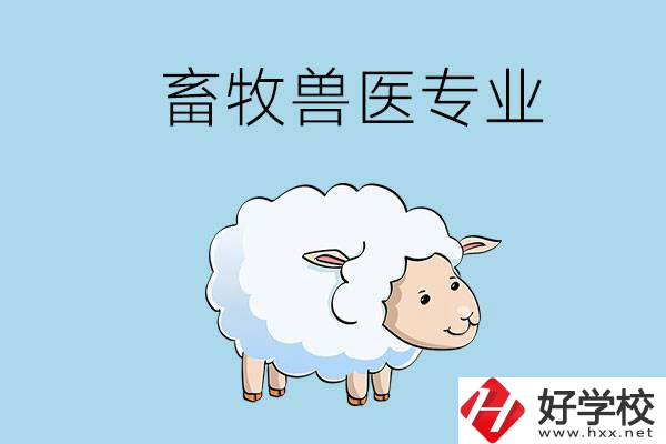畜牧獸醫(yī)專業(yè)好就業(yè)嗎？湖南哪些技校開設(shè)了該專業(yè)？