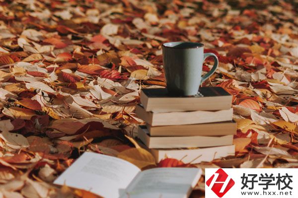中方縣職業(yè)中等專業(yè)學(xué)校有什么專業(yè)？好不好？