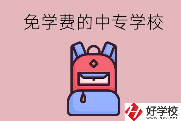 郴州市的中專哪些是免學(xué)費(fèi)的？