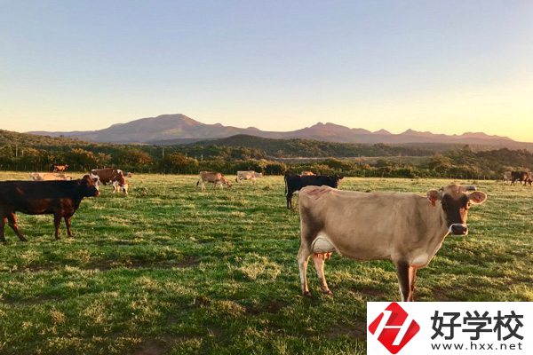 瀘溪縣第一職業(yè)中學的園林技術專業(yè)怎么樣？
