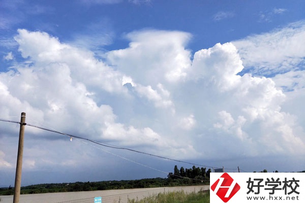 婁底有學(xué)習(xí)音樂或者舞蹈的中專學(xué)校？