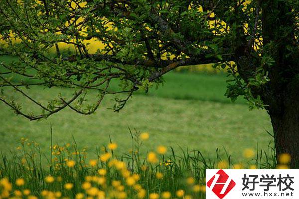 在邵陽(yáng)讀中職有前途嗎？如何選擇學(xué)校呢？