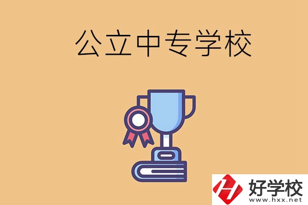 常德的公立中專學(xué)校有哪些？有什么特色？