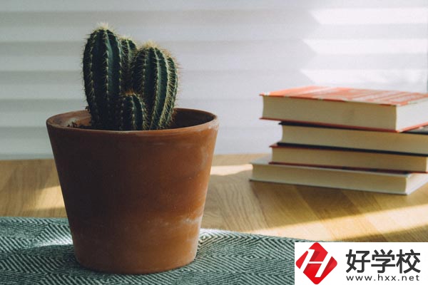 桃江縣職業(yè)中專學(xué)校辦學(xué)條件怎么樣？有哪些特色？