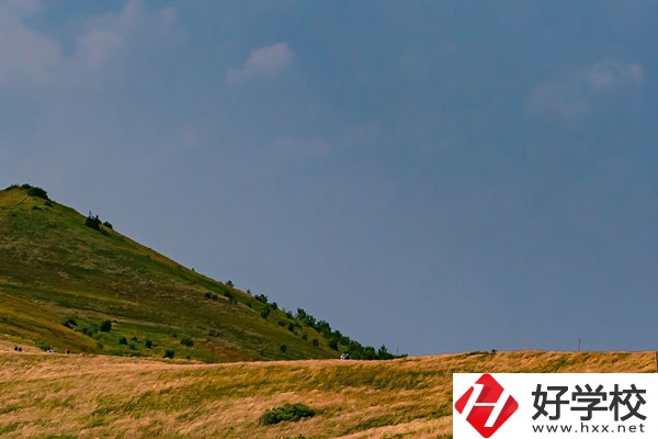 想在常德學(xué)動漫設(shè)計專業(yè)，有合適的學(xué)校嗎？