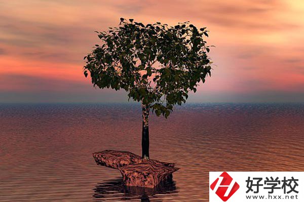 湖南省中南藝術(shù)學(xué)校收費(fèi)標(biāo)準(zhǔn)怎么樣？