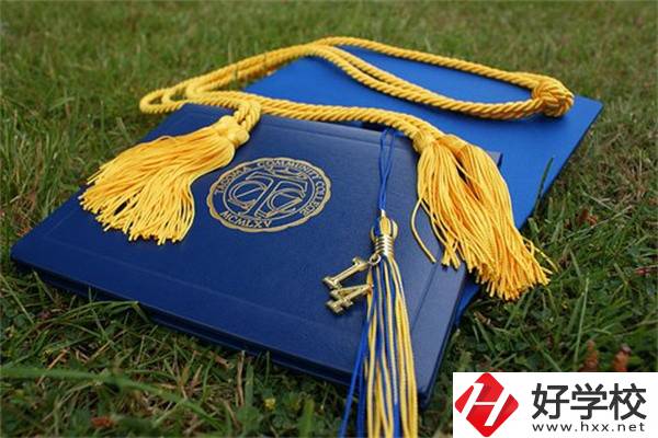 在湖南中職學(xué)哪些專業(yè)更容易考本科？