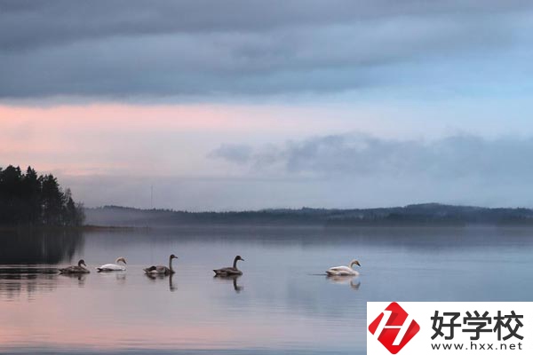 湖南有色金屬中專學(xué)校有哪些專業(yè)？就業(yè)方向如何？