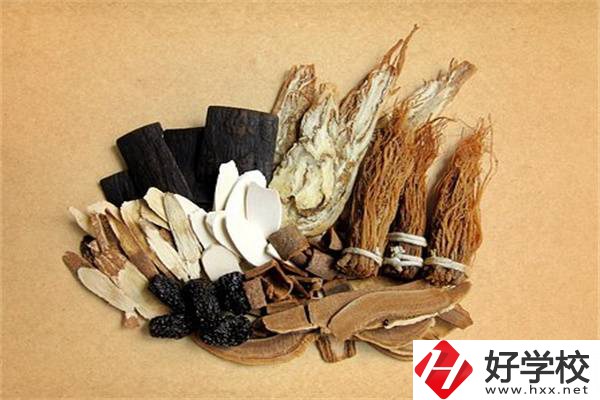 在湘西學(xué)中草藥栽培怎么樣？開設(shè)此專業(yè)的學(xué)校有哪些？