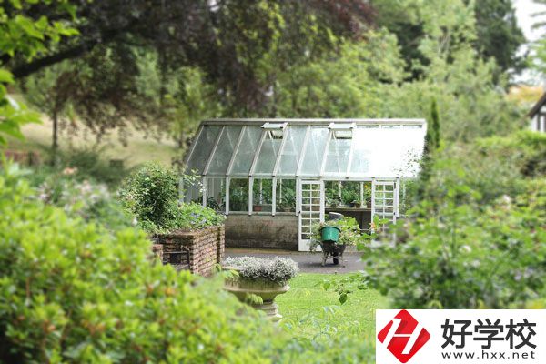 湖南省商業(yè)技師學院開設哪些專業(yè)？就業(yè)情況如何？