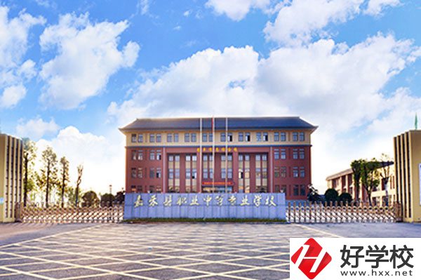 嘉禾縣職業(yè)中等專業(yè)學校實力如何？
