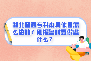 湖北普通專升本具體是怎么做的？剛報名時要做些什么？