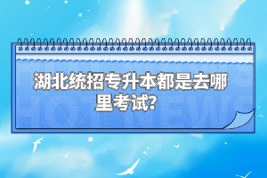 湖北統(tǒng)招專升本都是去哪里考試？
