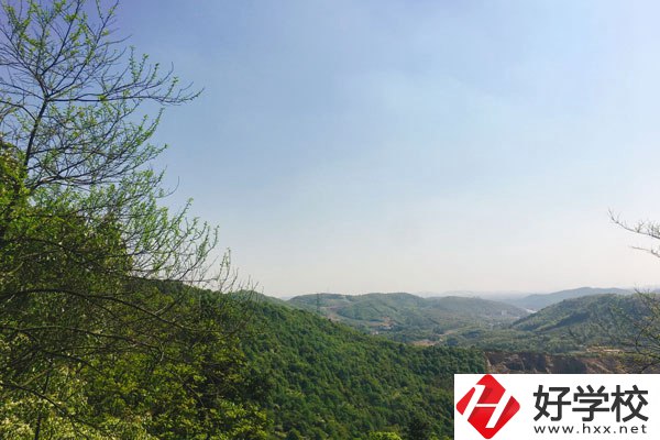 株洲人工智能職業(yè)技術(shù)學校哪個專業(yè)更好？