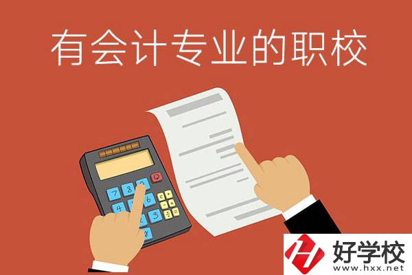 株洲哪些公立職校有會(huì)計(jì)專業(yè)？