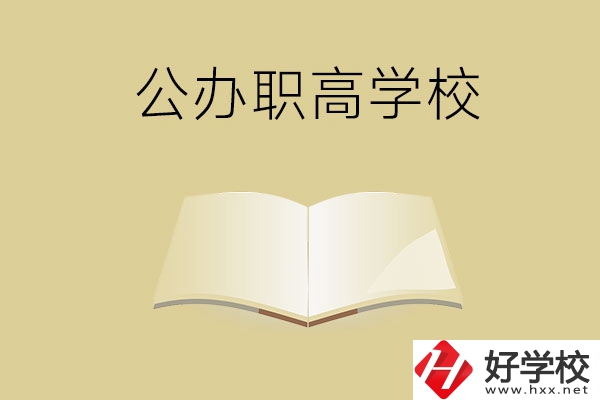 懷化公辦的職高學(xué)校有哪些？