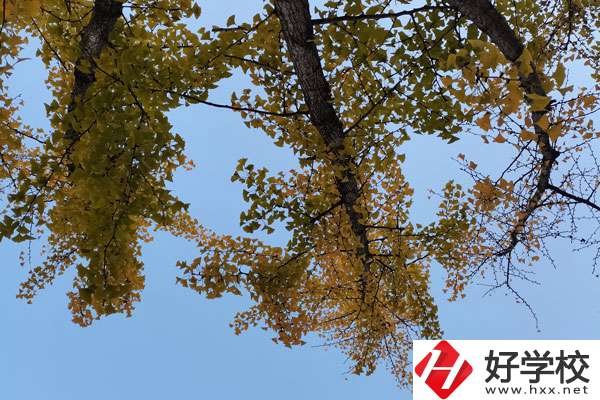 株洲有哪些比較好的中專學校？