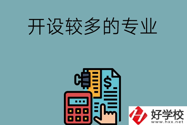 湖南的中職學校開設較多的專業(yè)是哪些？