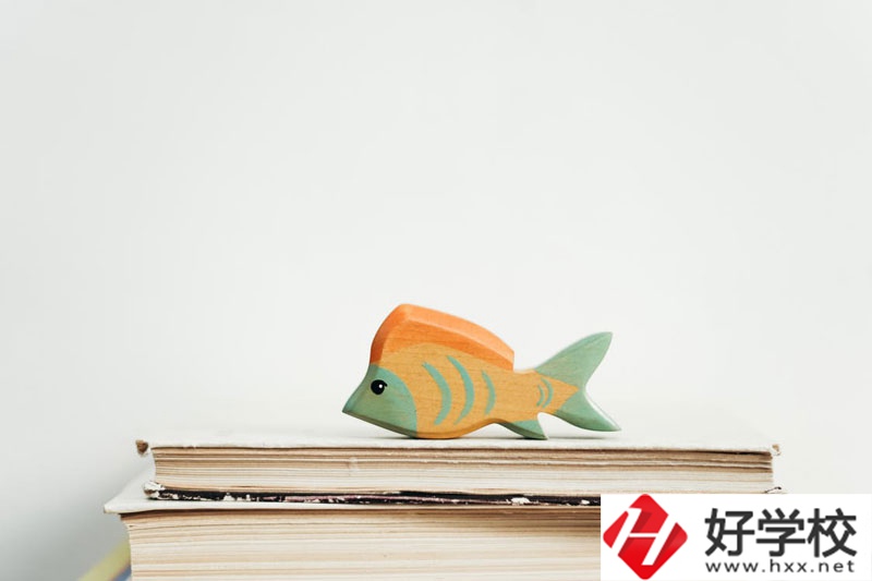 長沙市英藍中等職業(yè)學校學費多少？貴不貴？
