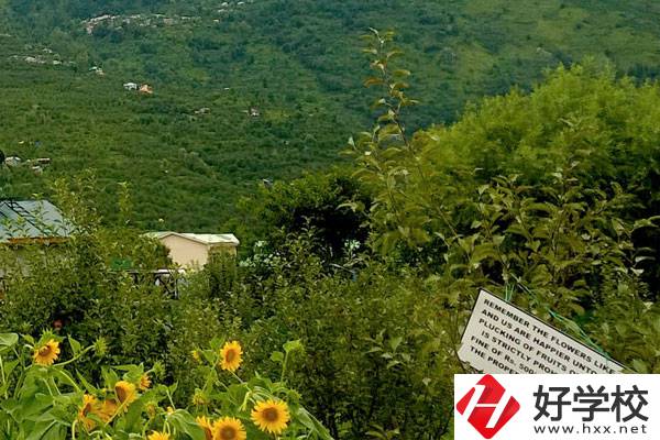 長(zhǎng)沙公辦中職學(xué)校好不好？都有哪些學(xué)校？
